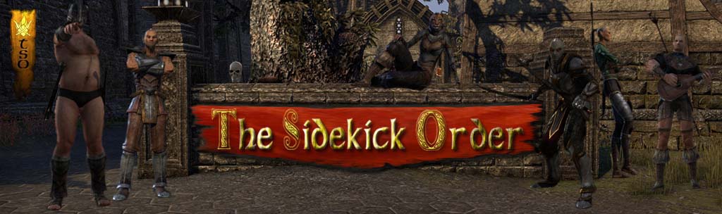 The Sidekick Order - Banner
